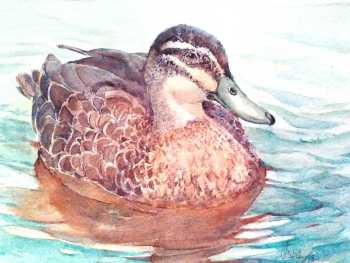Black Duck 2018